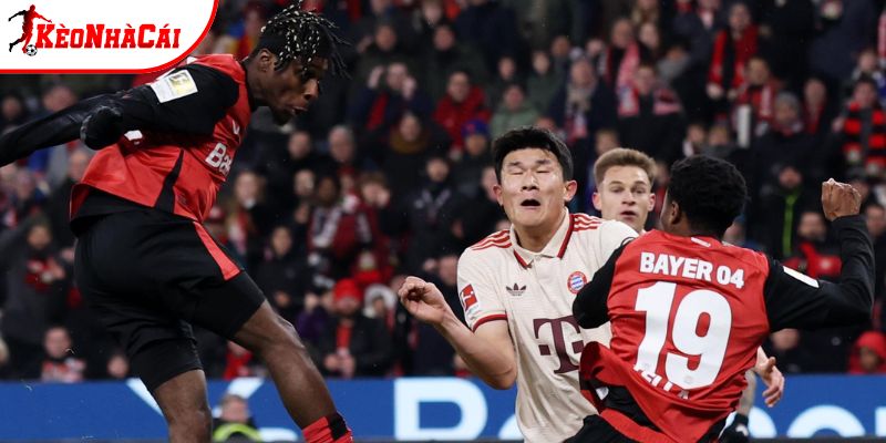 Bayer Leverkusen vs Bayern Munich không còn lạ nhau Bayer Leverkusen vs Bayern Munich không còn lạ nhau