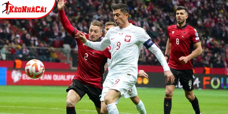 Ba Lan vs Albania có sự chuẩn bị kỹ càng Ba Lan vs Albania có sự chuẩn bị kỹ càng