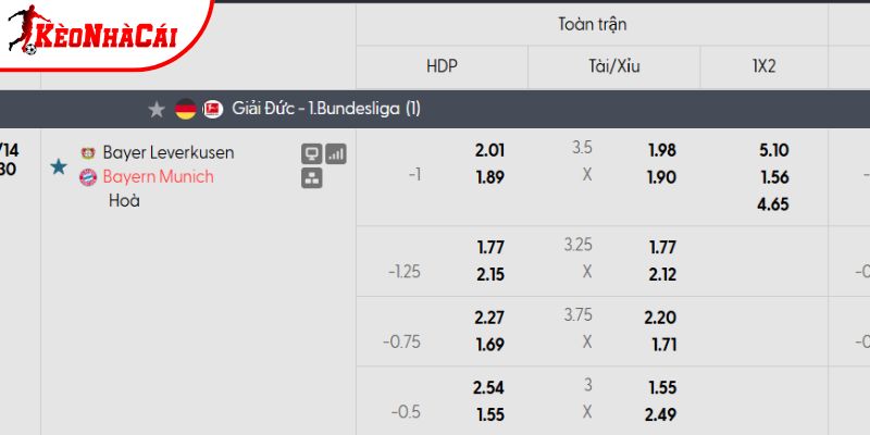 Tỷ lệ kèo Bayer Leverkusen vs Bayern Munich Tỷ lệ kèo Bayer Leverkusen vs Bayern Munich